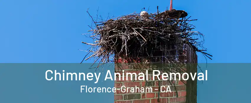 Chimney Animal Removal Florence-Graham - CA