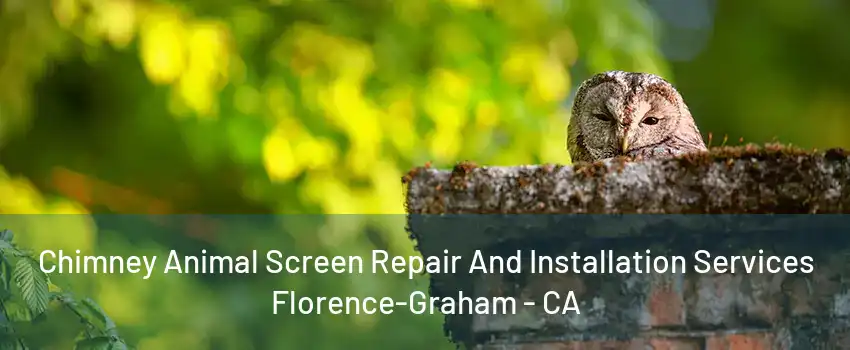 Chimney Animal Screen Repair And Installation Services Florence-Graham - CA